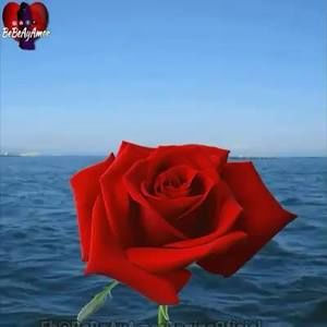 Meet your Posher, Justina